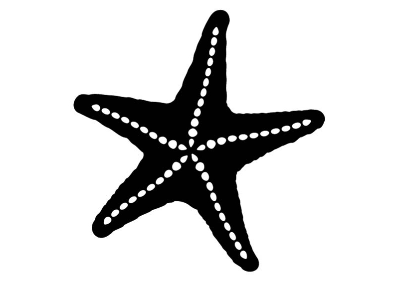 Starfish SVG - Sea Star Silhouette SVG, Beach Ocean Nautical Cricut Cut File starfish svg sea star svg starfish silhouette svg beach svg ocean svg nautical svg sea creature svg beach cricut svg ocean animal svg starfish vector svg