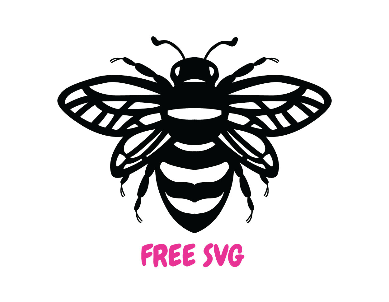 Honey Bee SVG Free Cut File Cricut Silhouette PNG DXF | Bee Silhouette Farmhouse Garden Design